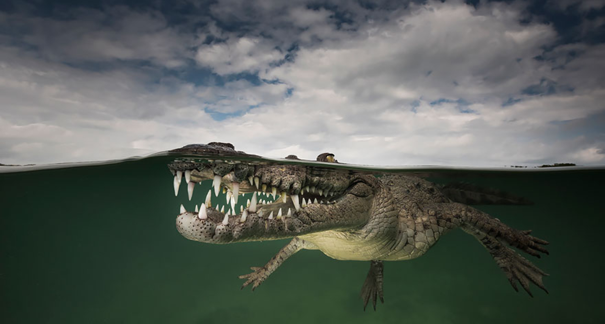 Меж двух миров: 40 захватывающих фото 