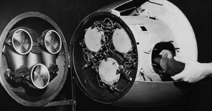 Ядерна артилерія: історія 5 видів зброї