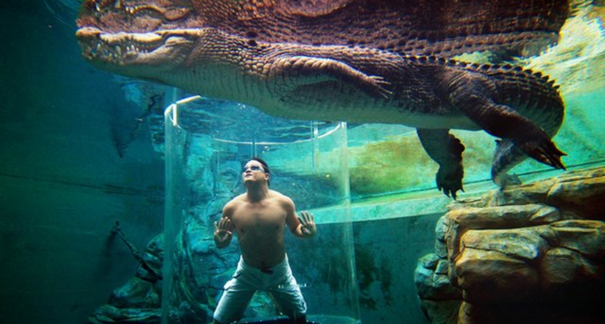 Клетка смерти: шесть самых экстремальных развлечений