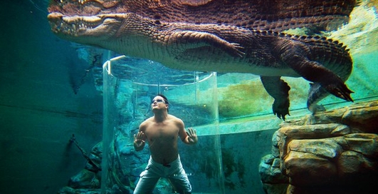 Клетка смерти: шесть самых экстремальных развлечений