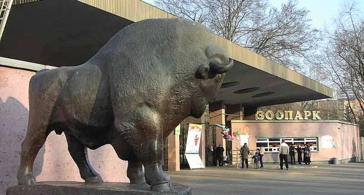 День Киева 2016: как отметить, если ты — папа