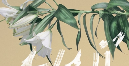 Гапочка - Лілії