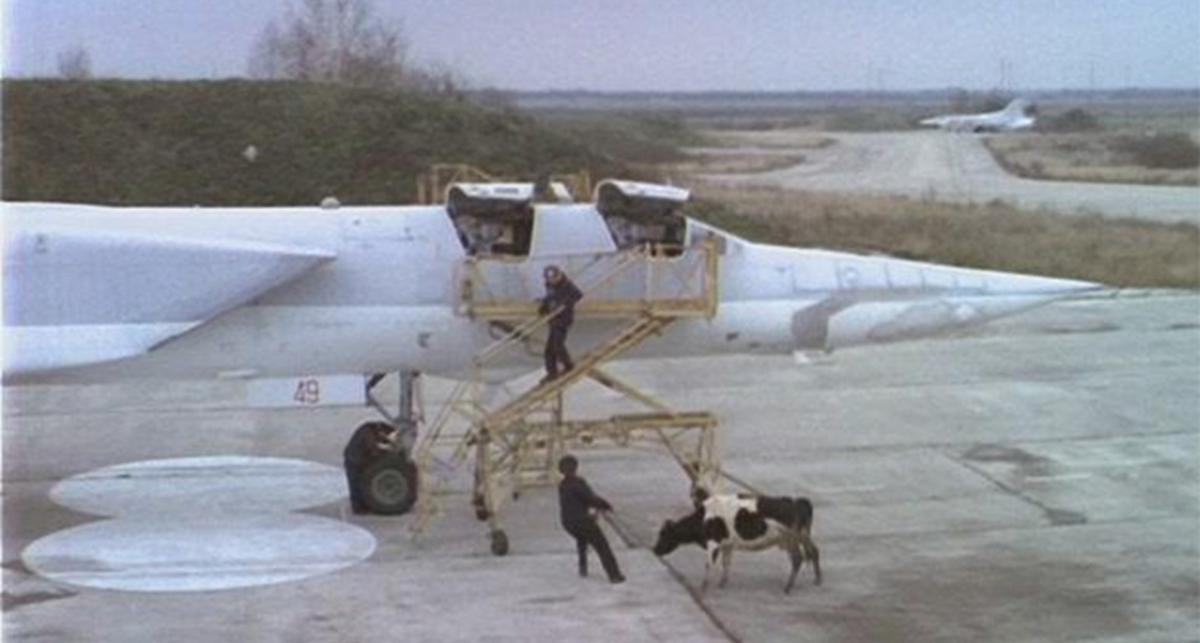 Коровы в самолете: 10 чокнутых грузов, отправленных воздухом