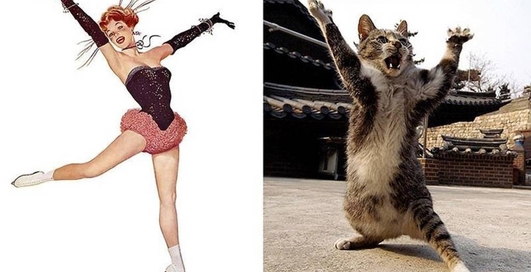 Дерзкие коты, пародирующие пинап-красоток