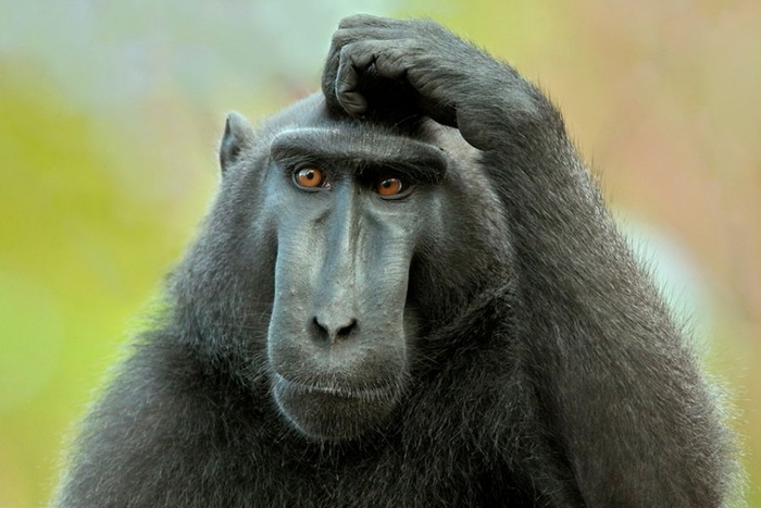 Посуда и постель: шесть худших свадебных подарков