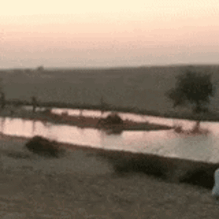 Лучшие гифки по мнению нашей скромной редакции