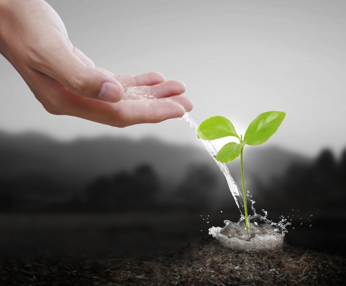 3 must have для хорошего начала дачного сезона