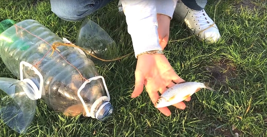Лайфхак: ловушка для рыб из пластиковых бутылок