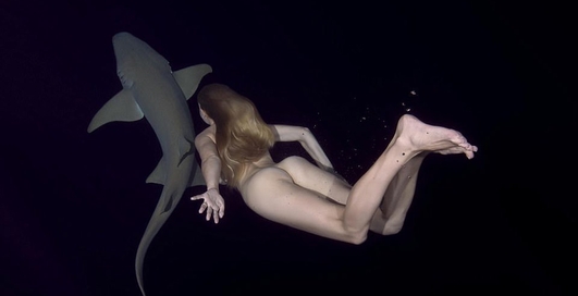 Голые рыбки: самая эротическая реклама акул
