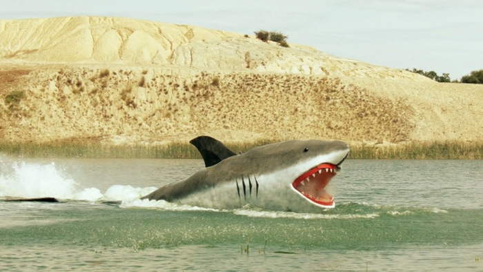 Можно ли поймать акулу на струну для рояля