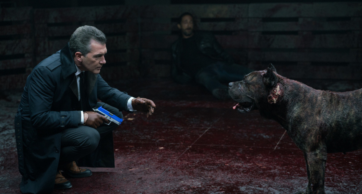 Цепной пес: самое мужское кино декабря 2017