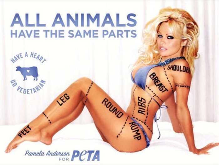 Права животным: дочь Алека Болдуина и Ким Бейсингер разделась для PETA