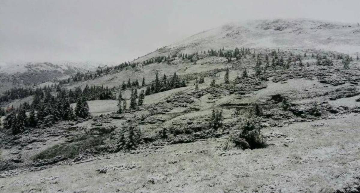 Суровая погода: Карпаты засыпало снегом посреди лета