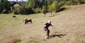Забавное видео: квадрокоптер не на шутку напугал сельского пастуха