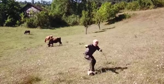 Забавное видео: квадрокоптер не на шутку напугал сельского пастуха