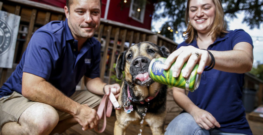 Семейная пара варит крафтовое пиво для любимой собаки