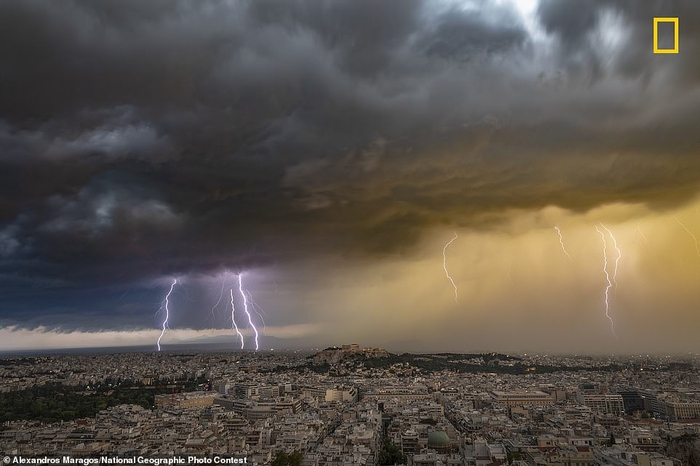 Лучшие фото 2018 года: Названы победители National Geographic Photo Contest