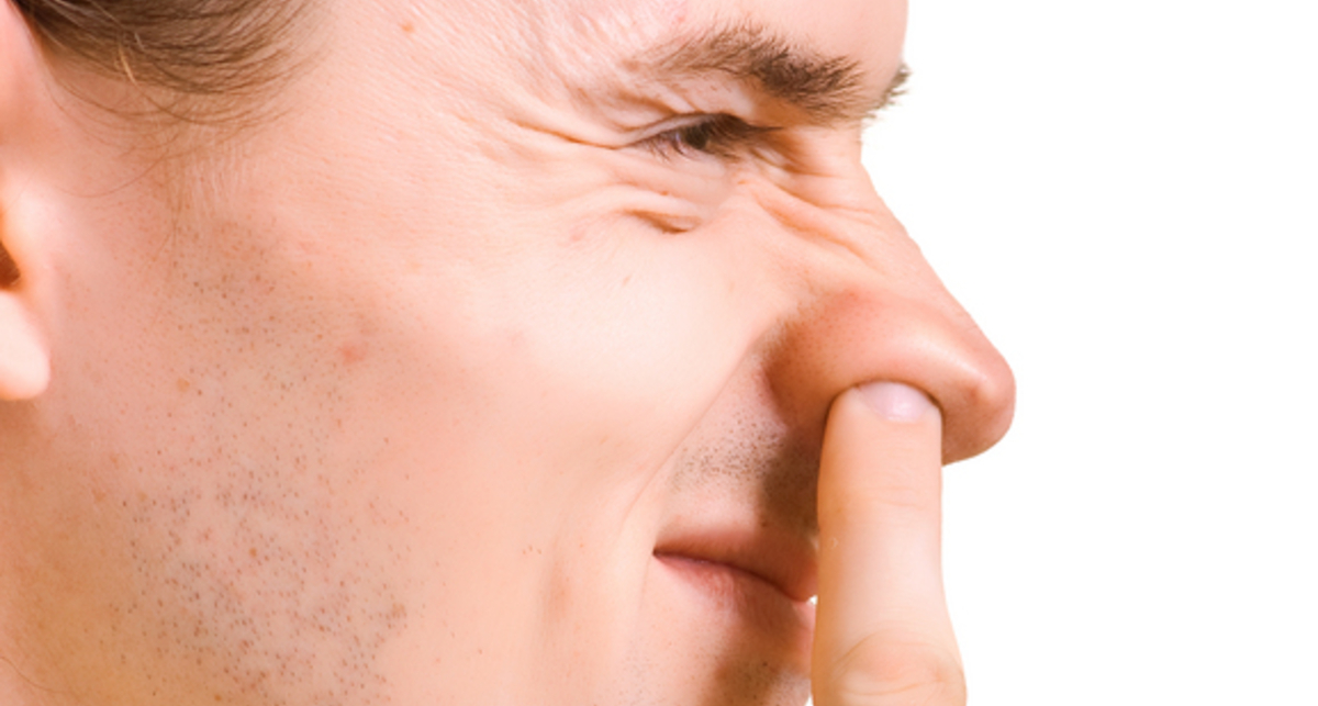 Не Карлик Нос