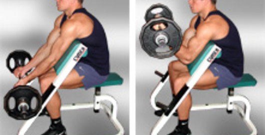 Подъем на бицепс на скамье Скотта