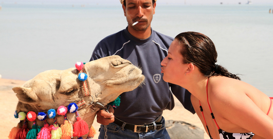 Это возбуждает или Рацион для мачо