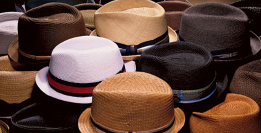 Возвращение соломенной шляпы