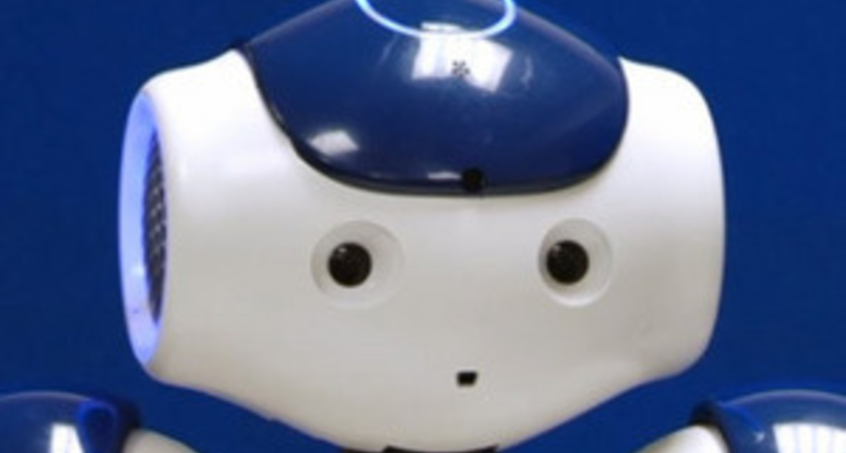 Европейцы создали эмоционального робота