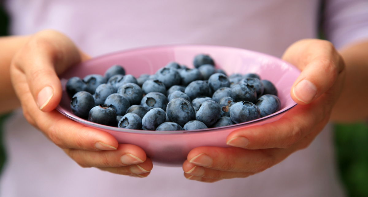 Ученые отправили чернику на борьбу с железом