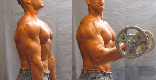 Сгибание рук со штангой обратным хватом