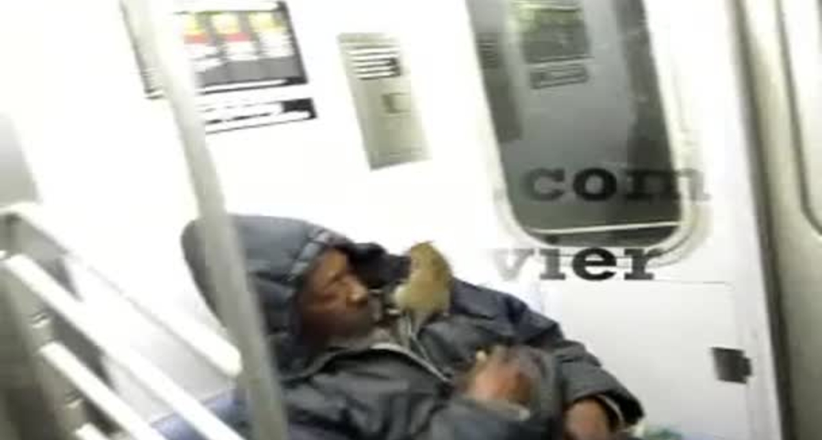 Не спи в метро: на бомжа напала крыса