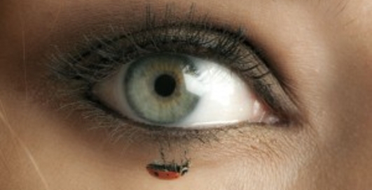 Моделей забросали божьими коровками