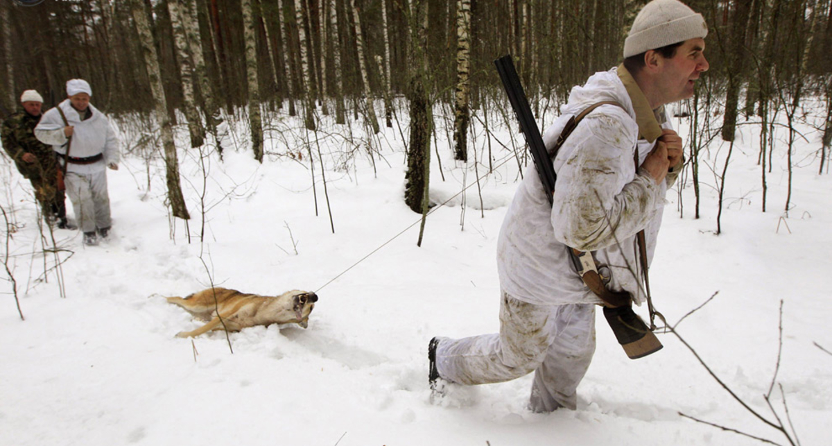 Как охотятся в Чернобыльской зоне
