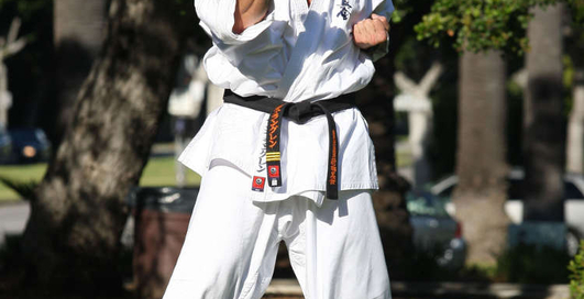 Удар старины Дольфа: подходи по одному!