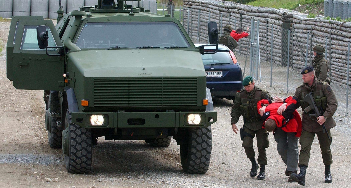 Дикая собака Динго: броня для Германии