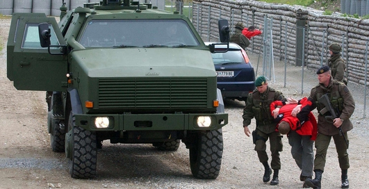 Дикая собака Динго: броня для Германии