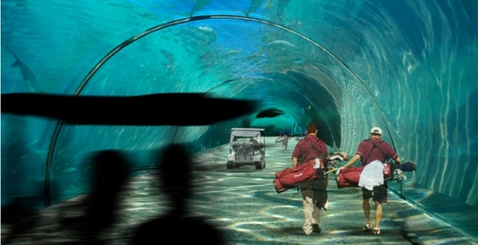 Гольф на Мальдивах: двойной рай для мужика