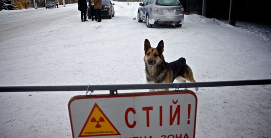 Чернобыль сегодня: прогулка по Зоне