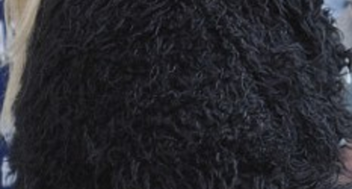 В Британии судят за секс вшестером