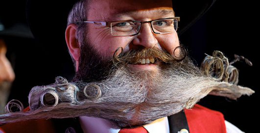 Лось под носом: борода ты немецкая!