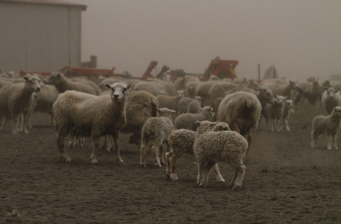 Дым и пепел: в Исландии пылает вулкан