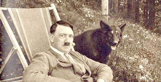 Шавки Гитлера: говорящие псы СС