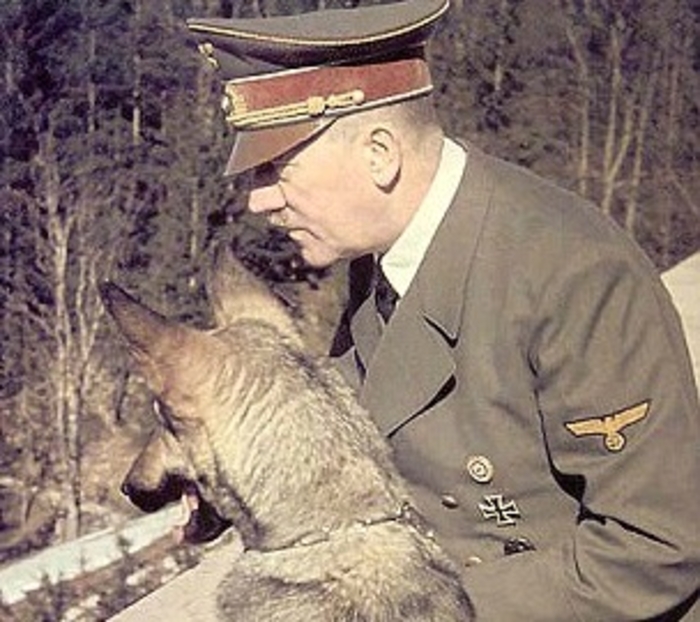 Шавки Гитлера: говорящие псы СС
