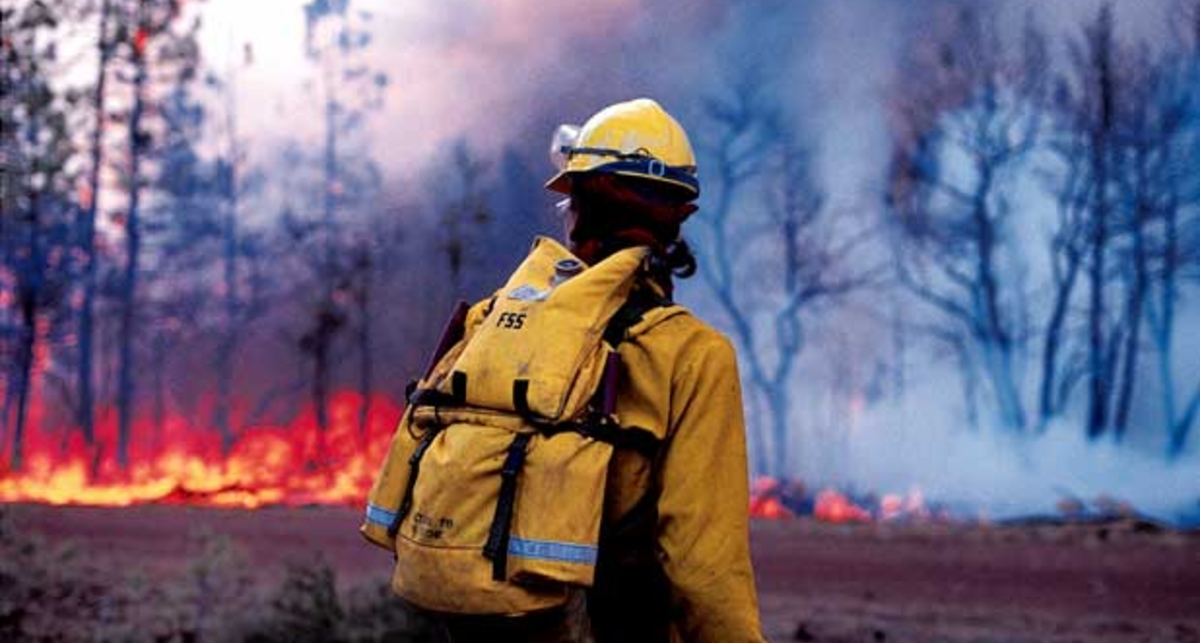 Россия в огне: в Якутии горят леса