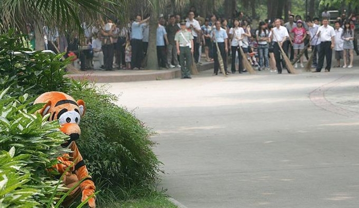 Полосатый рейд: побег тигра-идиота