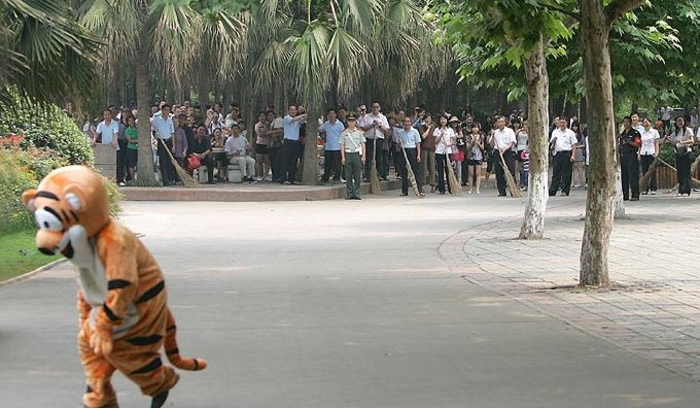 Полосатый рейд: побег тигра-идиота