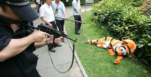 Полосатый рейд: побег тигра-идиота