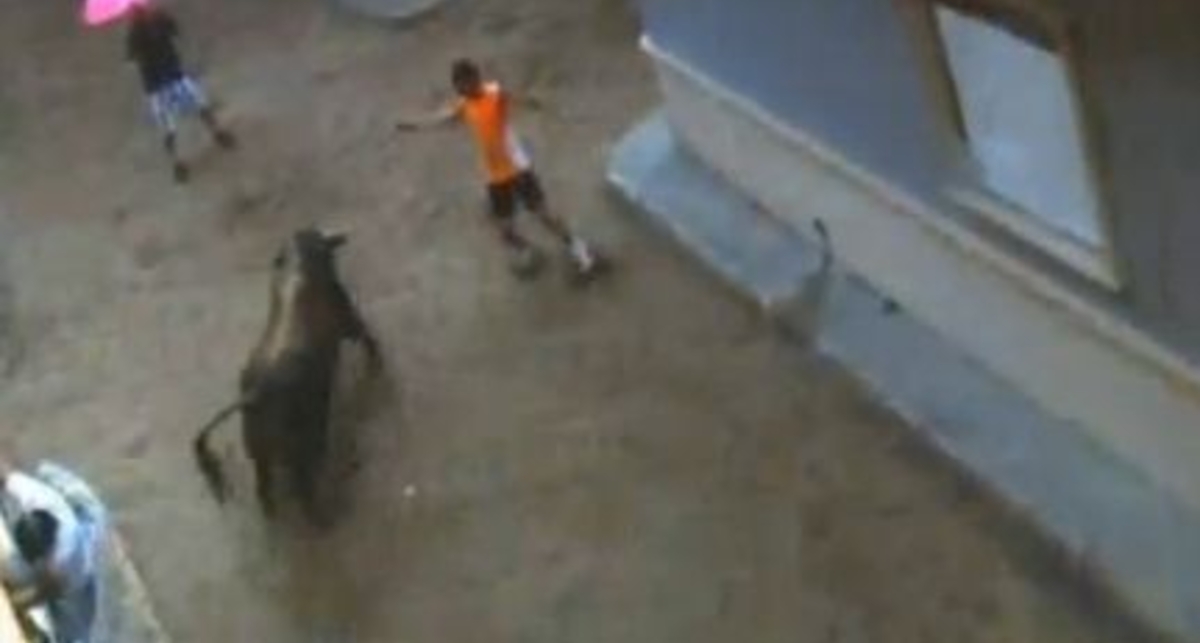 По-мужски: коррида для идиота