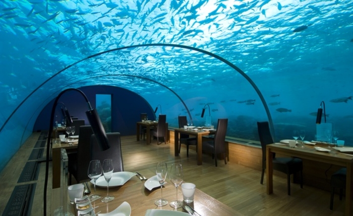 Счастье есть: 12 самых видных ресторанов