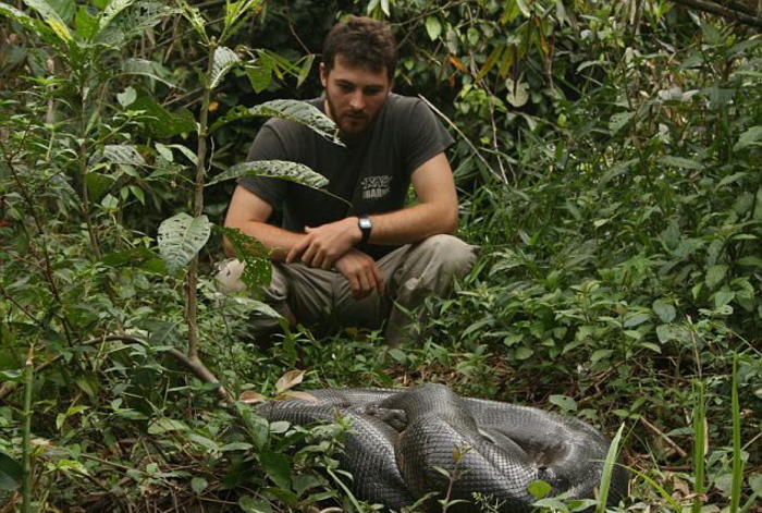 По-мужски: как укротить анаконду