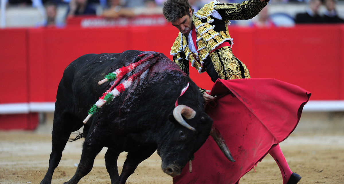 Пока для быка: Последняя коррида