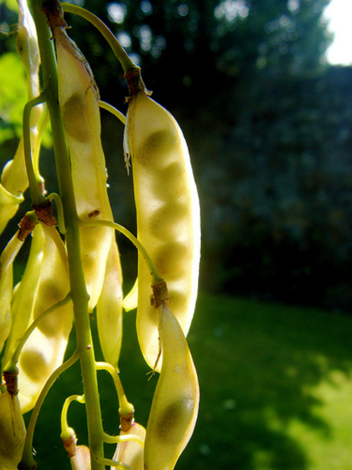 Бросаем курить: как дешевле всего? Бросаем курить: как дешевле всего?